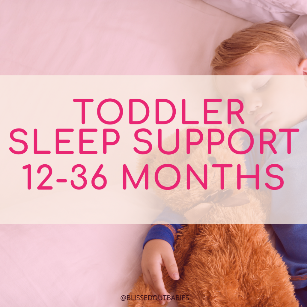 Image of sleeping toddler cuddling teddy. Text overlay says Toddler Sleep Support 12-36 months